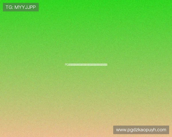 PG网站百家乐官网引领行业创新，打造最受信赖的线上博彩品牌